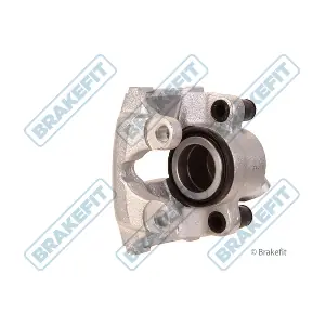 BCA1299 APEC