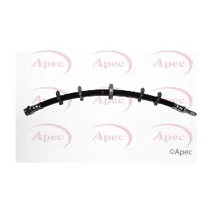 HOS4406 APEC