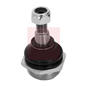 AST0093 APEC