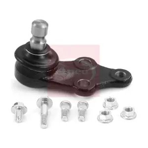 AST0325 APEC
