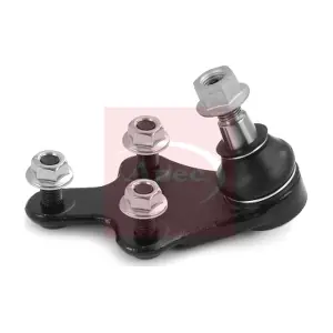 AST0226 APEC