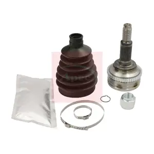 ACV1124 APEC