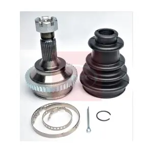 ACV1247 APEC