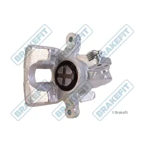 BCA1342 APEC