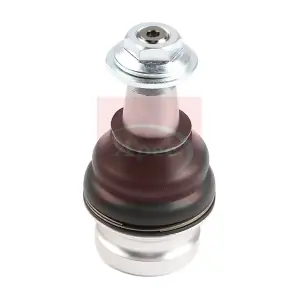 AST0367 APEC