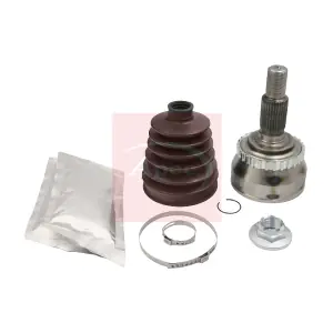ACV1107 APEC