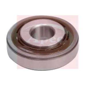 AKM1069 APEC