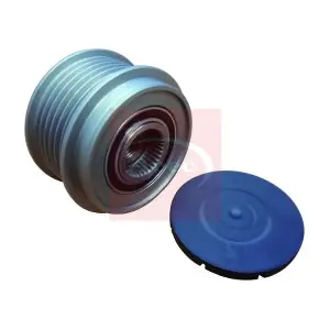 AOP1132 APEC