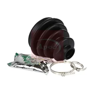 ACB1006 APEC