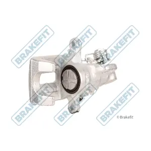 BCA1039 APEC