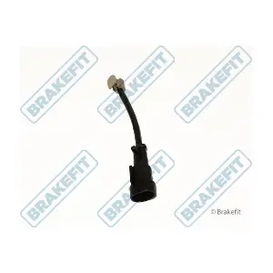 BWR5106 APEC