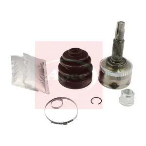 ACV1237 APEC