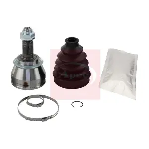 ACV1290 APEC