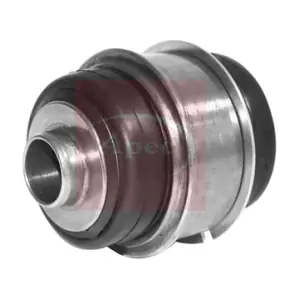 AST8031 APEC