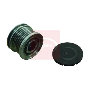AOP1143 APEC