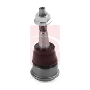 AST0262 APEC