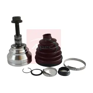 ACV1004 APEC