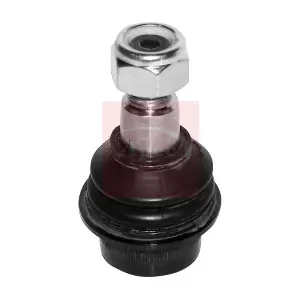 AST0038 APEC