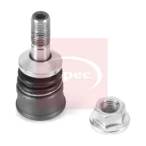 AST0276 APEC