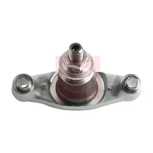 AST0369 APEC