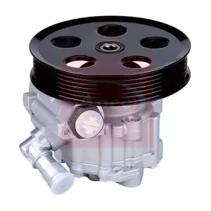 APS1081 APEC