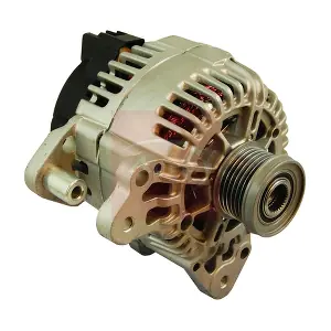 AAL1313 APEC