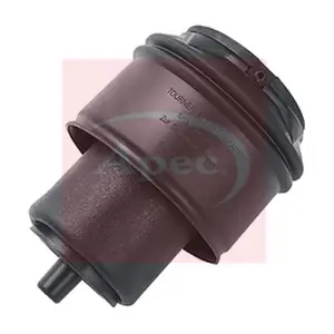 AAS1071 APEC