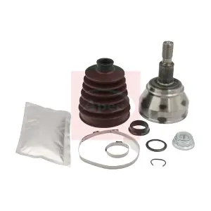ACV1028 APEC