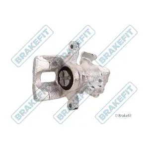 BCA1341 APEC