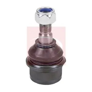 AST0174 APEC