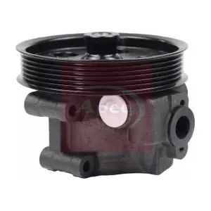 APS1070 APEC