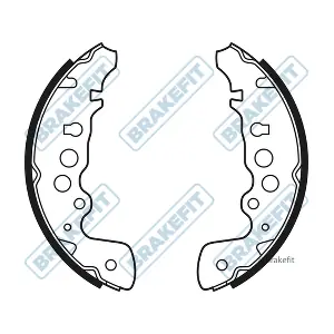 BSH1081 APEC