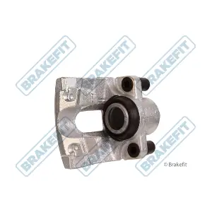 BCA1195 APEC