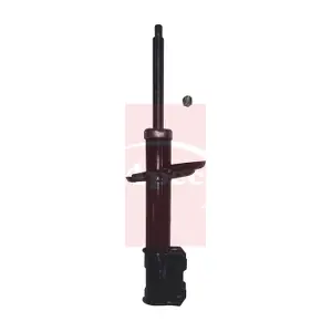 ASA1011 APEC
