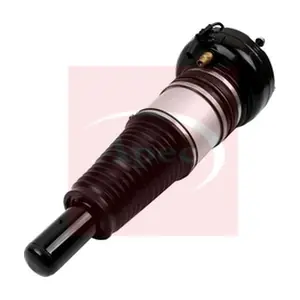 AAS1119 APEC