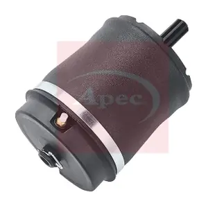 AAS1019 APEC