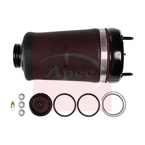 AAS1031 APEC