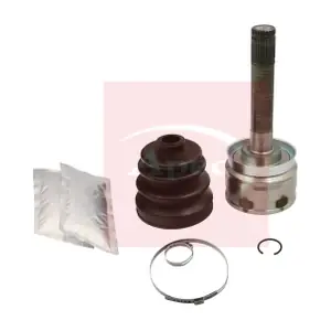 ACV1163 APEC