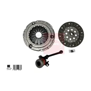 ACL1134 APEC