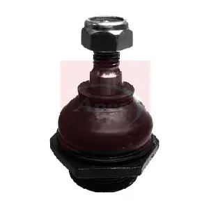 AST0084 APEC
