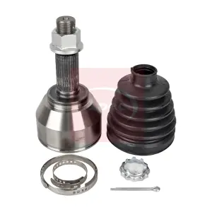 ACV1166 APEC