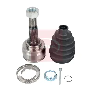 ACV1190 APEC