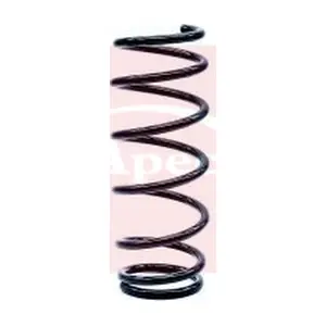 ACS1241 APEC