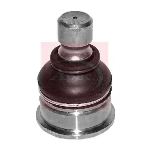 AST0118 APEC