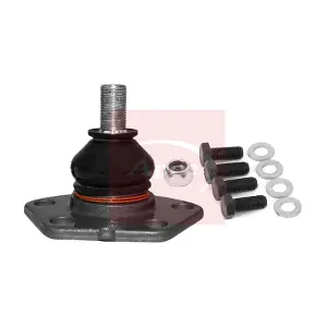 AST0059 APEC