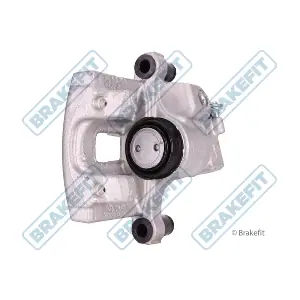 BCA1160 APEC
