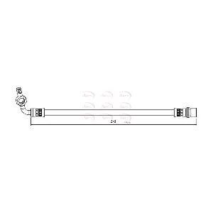 HOS4125 APEC