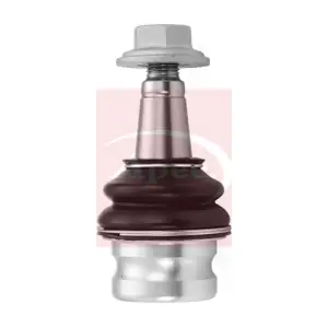 AST0349 APEC
