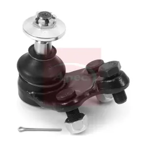AST0247 APEC