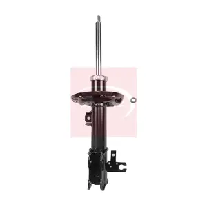 ASA1070 APEC